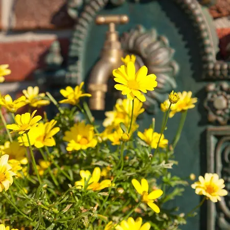 Appartement Ferienweingut Juergen Beth Parterre