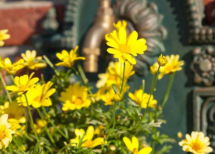 Lägenhet Ferienweingut Juergen Beth Parterre